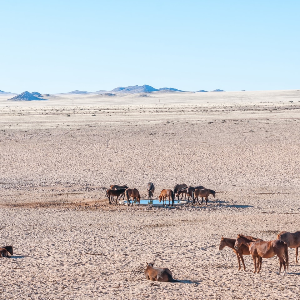 Roadtrip im Süd-Westen Namibias